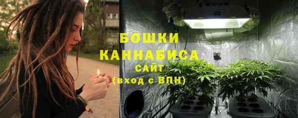 прущие крисы Кулебаки