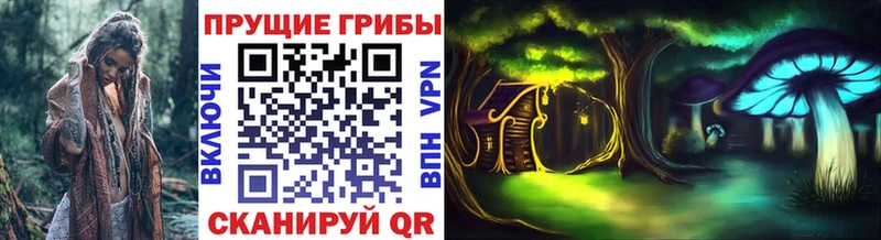 Купить закладки  Нягань  Псилоцибиновые грибы MAGIC MUSHROOMS 